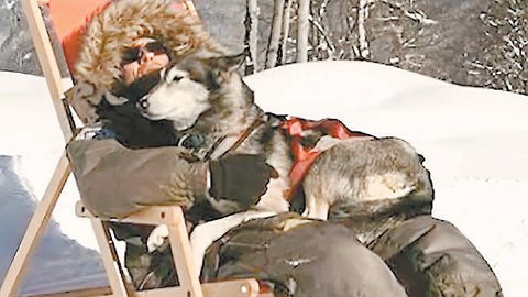 Собирали ребёнка по кусочкам